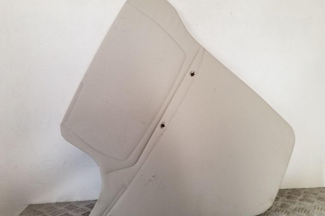 PEUGEOT Boxer 3 generation (2006-2024) Priekšējo labo durvju panelis 07355601000 32150857