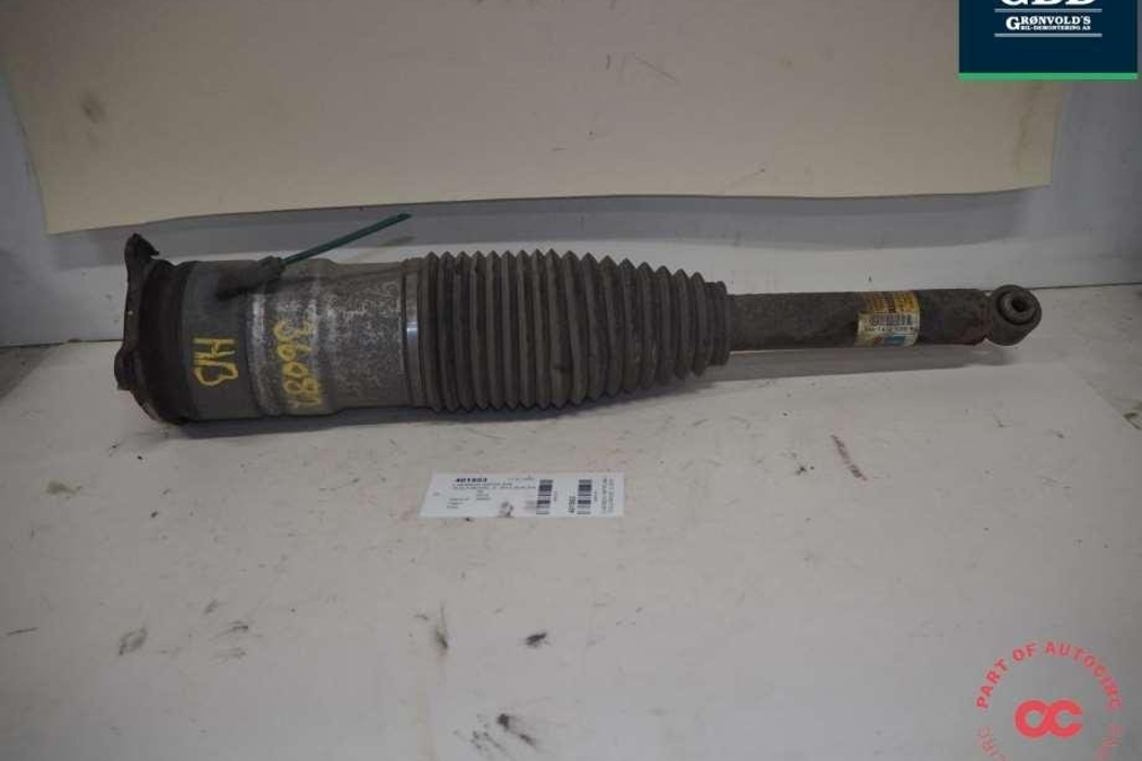TESLA Model S 1 generation (2012-2024) Air Spring 6006353-00-c,6006353-00-d 30876064