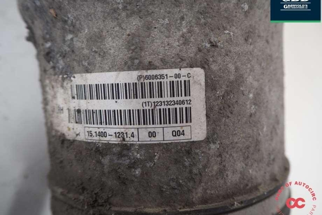 TESLA Model S 1 generation (2012-2024) Air Spring 6006351-00-c 30878096