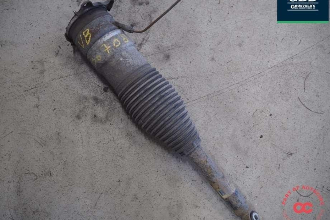 TESLA Model S 1 generation (2012-2024) Air Spring 6006352-00-c 30878214