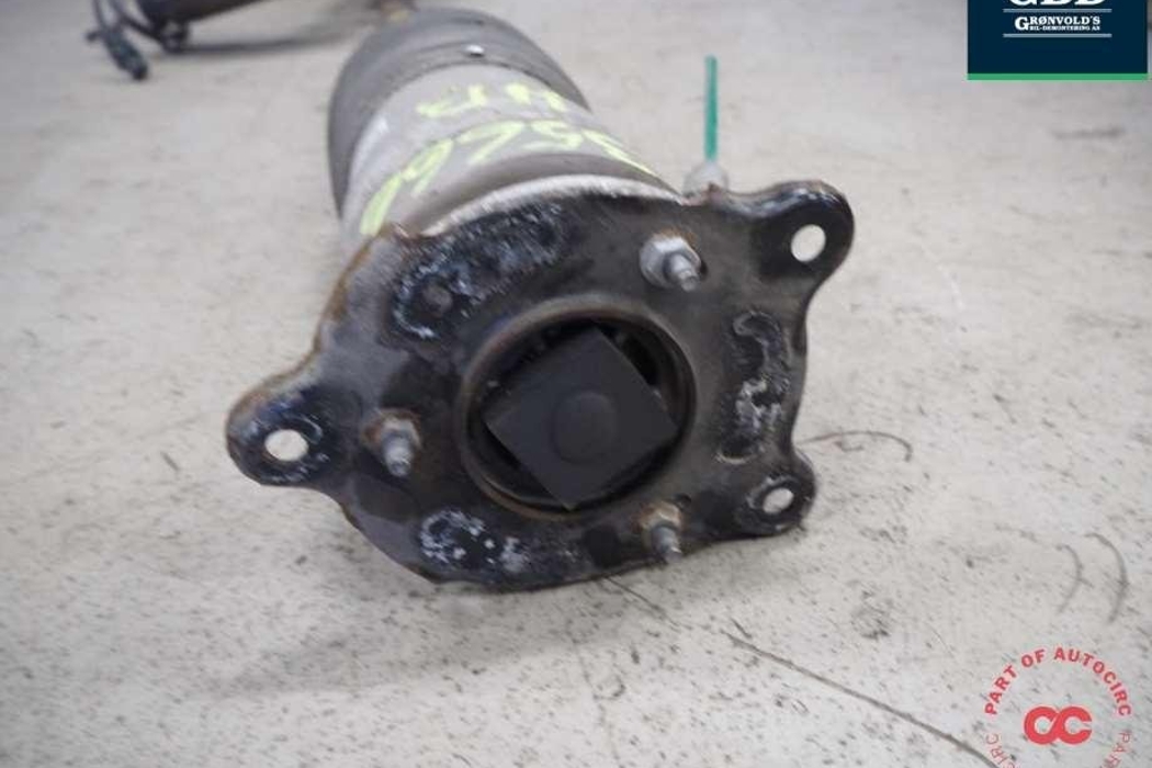 TESLA Model S 1 generation (2012-2024) Air Spring 6006353-00-c,6006353-00-d 30878315