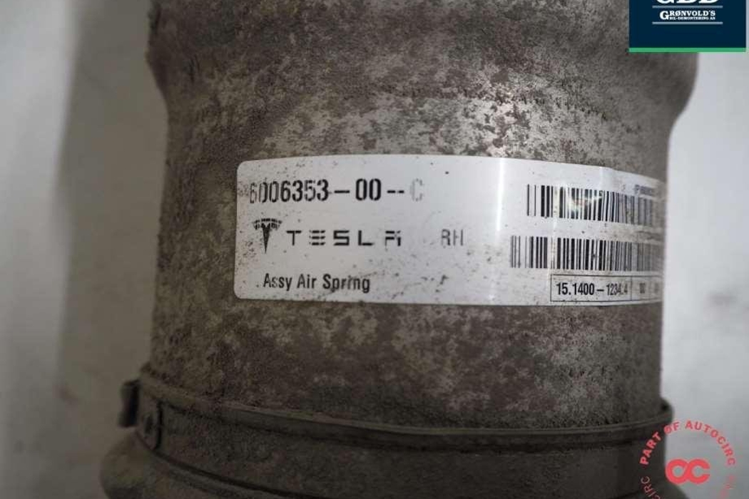 TESLA Model S 1 generation (2012-2024) Pneimatiskais / gaisa spilvens 6006352-00-c,6006353-00-c,6006353-00-d 30878373