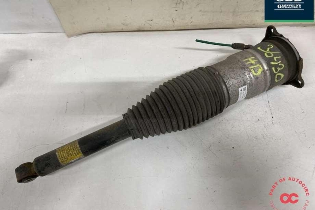 TESLA Model S 1 generation (2012-2024) Pneimatiskais / gaisa spilvens 6006352-00-c 30878566