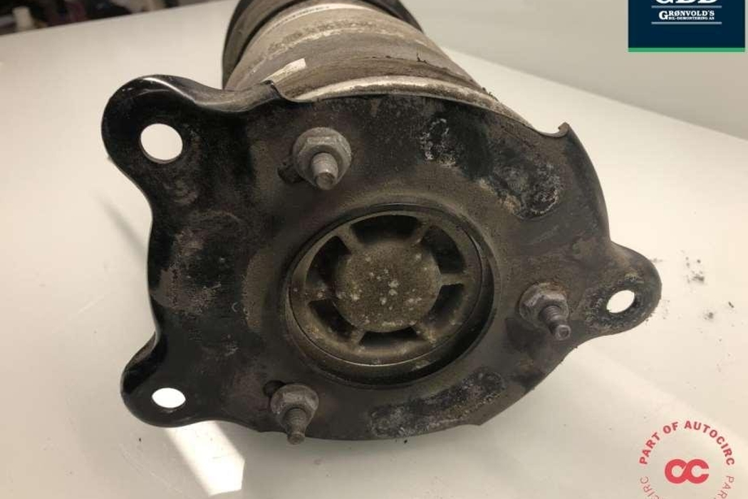 TESLA Model S 1 generation (2012-2024) Air Spring 6006353-00-c,6006353-00-d 30880918