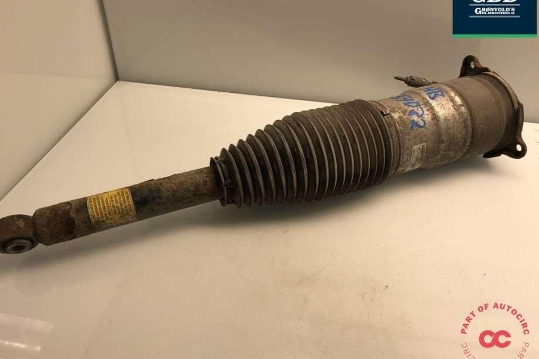 TESLA Model S 1 generation (2012-2024) Air Spring 6006352-00-c,6006353-00-d 30882794
