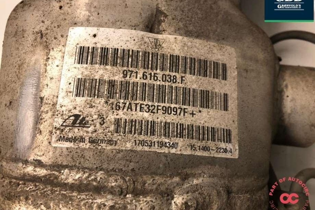 PORSCHE Panamera 971 (2016-2020) Air Spring 971616038n,971616038g 31710337