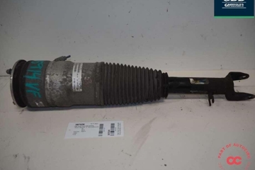TESLA Model S 1 generation (2012-2024) Air Spring 6006351-00-c 30875160