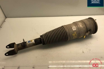 TESLA Model S 1 generation (2012-2024) Pneimatiskais / gaisa spilvens 6006351-00-c 30882865