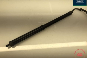 TOYOTA RAV4 5 generation (XA50) (2018-2024) Back cover opening handle 6891042060 31705334