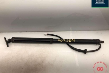 TOYOTA RAV4 5 generation (XA50) (2018-2024) Right Side Tailgate Gas Strut 6891042060 31709399