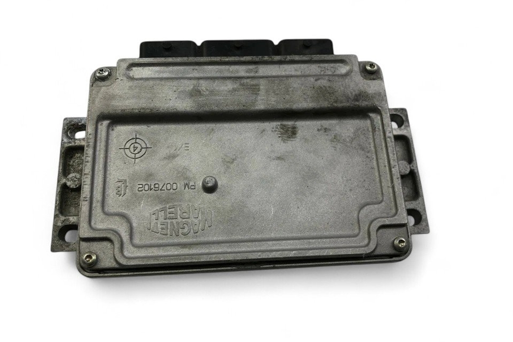 PEUGEOT 206 1 generation (1998-2009) Блок управления двигателем 9657649580,9658645880 32164419
