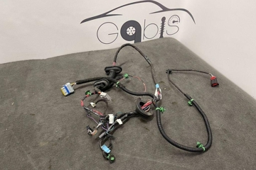 TESLA Model S 1 generation (2012-2024) Rear Right Door Wiring 100442600R 32189236