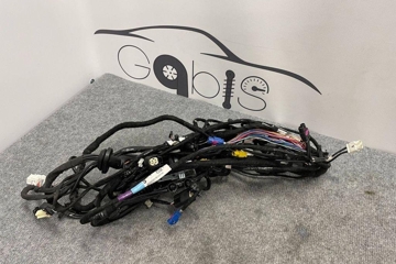 TESLA Model S 1 generation (2012-2024) Rear Right Door Wiring 100479800E,100442900R,100479300F 32189292