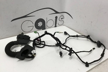 MERCEDES-BENZ EQS SUV 1 generation (2022-2023) Rear Right Door Wiring A2965403322 32199831