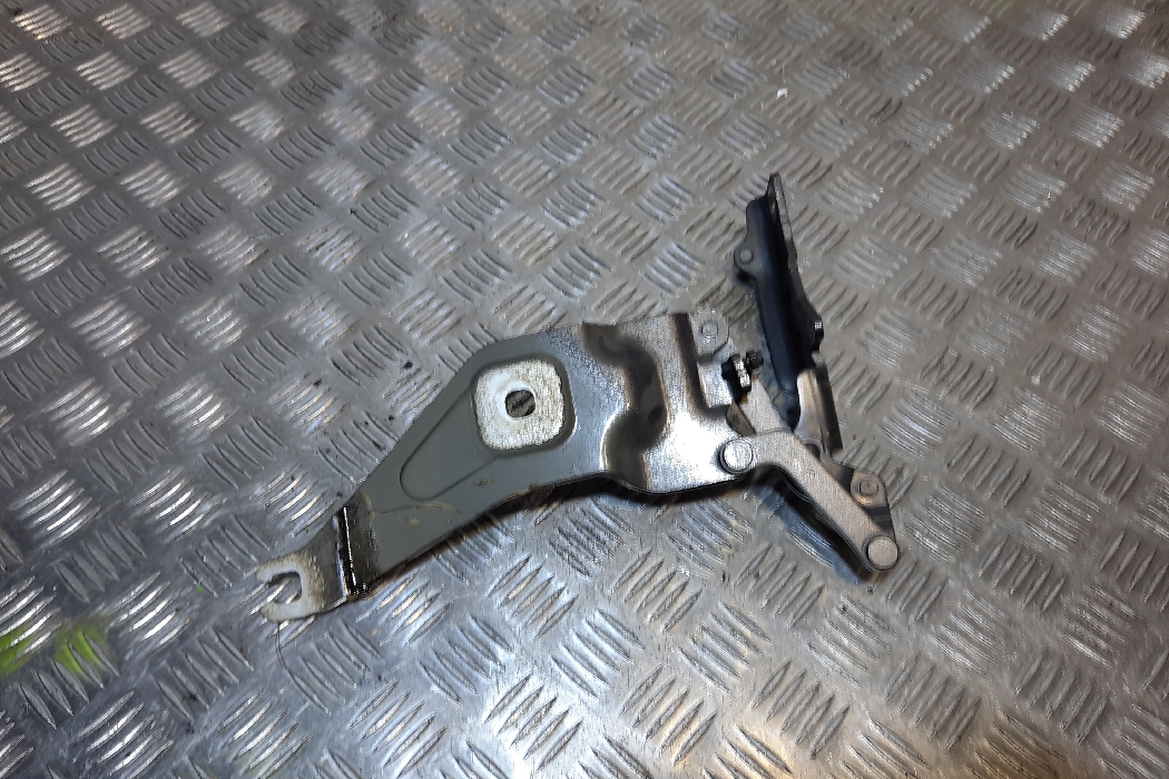 BMW X5 E70 (2006-2013) Front Left Bonnet Hinge 720862701 11707851