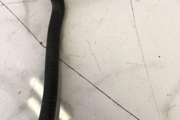 AUDI A3 8V (2012-2020) Coolant Hose Pipe 5Q0121449A 32207897