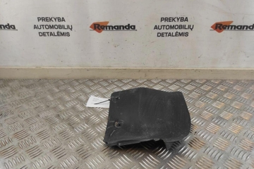 TOYOTA RAV4 5 generation (XA50) (2018-2024) Front Right Mudguard 5373742010 31573771