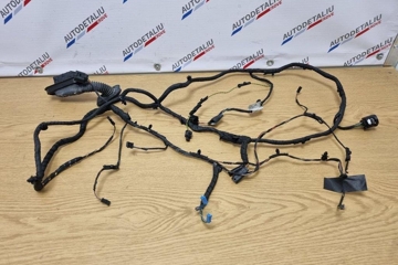 BMW 5 Series F10/F11 (2009-2017) Priekšējo labo durvju elektroinstalācija BFTF10F11,5357104,9256002 32247781