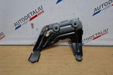 BMW X3 G01 (2017-2024) Front Right Fender Holder 32249794