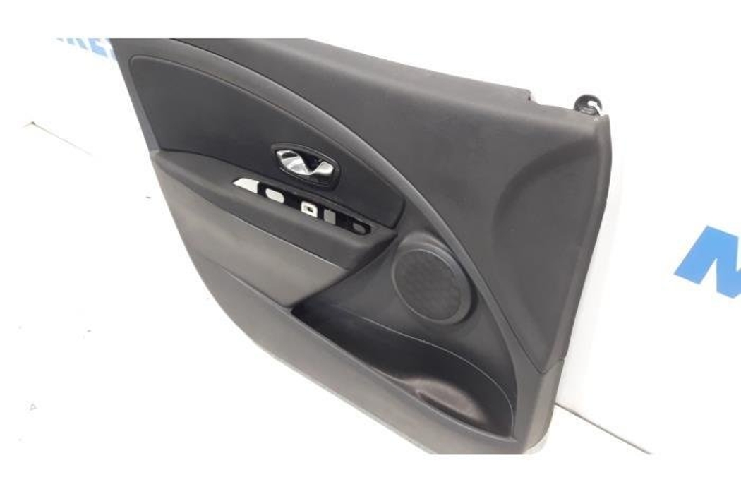 RENAULT Megane 3 generation (2008-2020) Front Left Door Panel 27421670