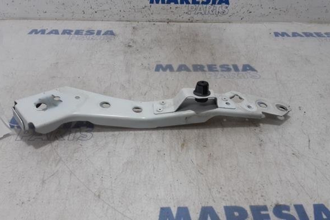 RENAULT Megane 3 generation (2008-2020) Other Body Parts 6251206E 27862393