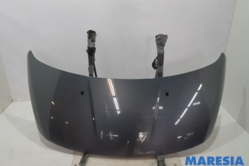PEUGEOT 3008 1 generation (2010-2016) Капот 7901Q8,00007901Q8 27393327