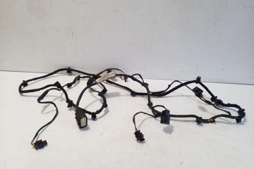 FORD S-Max 1 generation (2006-2015) Aizmugurējo pārking sensoru elektroinstalācija AG9T15K867 32157830