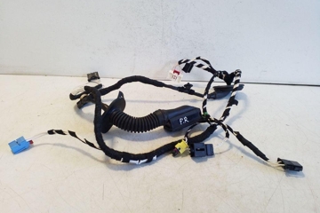 VOLKSWAGEN Tiguan 2 generation (2016-2024) Priekšējo labo durvju elektroinstalācija 5NC971162BD 32179568
