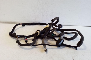 CHEVROLET Captiva 1 generation (2006-2018) Priekšējo labo durvju elektroinstalācija 95491040 32179858