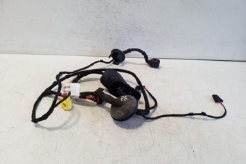 AUDI TT 8J (2006-2014) Priekšējo labo durvju elektroinstalācija 8J0971029AE 32183807