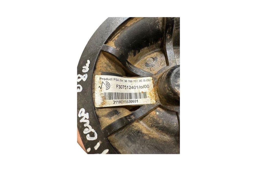 CITROËN C4 Picasso 2 generation (2013-2018) Aizmugurējais kreisais gaisa balstiekārtas spilvens F307512401 31274090
