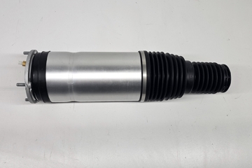 LAND ROVER Range Rover Sport 2 generation (2013-2022) Front right pneumatic shock absorber DPLA3C285CG,lr087082 32096204