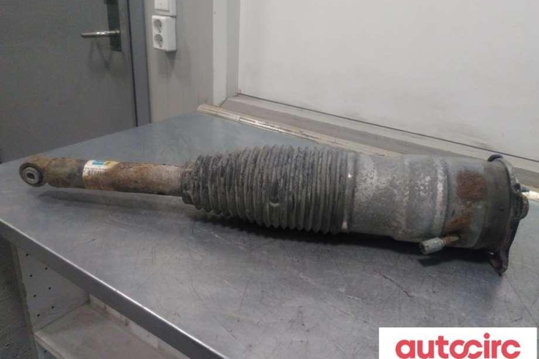 TESLA Model S 1 generation (2012-2024) Pneimatiskais / gaisa spilvens 6006352-00-c,f4-be5-1031-w1 30848601