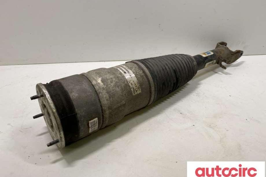 TESLA Model S 1 generation (2012-2024) Air Spring 6006351-00-c,6006351-00-d,15.1400-1231.4 30856550