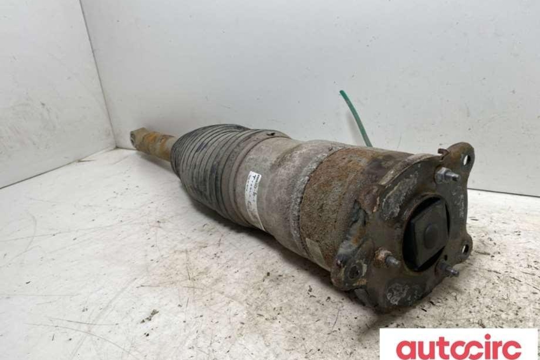 TESLA Model S 1 generation (2012-2024) Air Spring 6006353-00-c,6006353-00-d 32088711