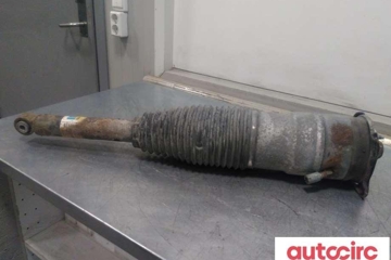 TESLA Model S 1 generation (2012-2024) Pneimatiskais / gaisa spilvens 6006352-00-c,f4-be5-1031-w1 30848601