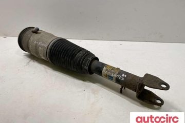 TESLA Model S 1 generation (2012-2024) Air Spring 6006351-00-c,6006351-00-d,15.1400-1231.4 30856550