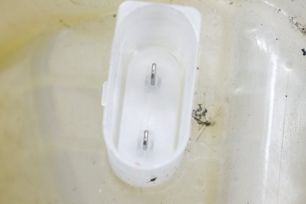 VOLVO XC90 2 generation (2014-2024) Expansion Tank 31368311,31338291 17945653