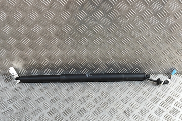 BMW X7 G07 (2018-2024) Left Side Tailgate Gas Strut 9482803 31086414