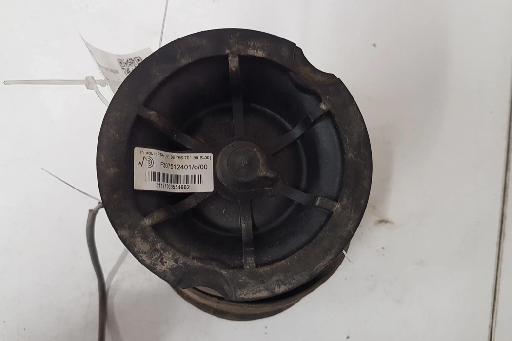 CITROËN C4 Picasso 1 generation (2006-2013) Подушка подвески задняя левая F307512401 28774097