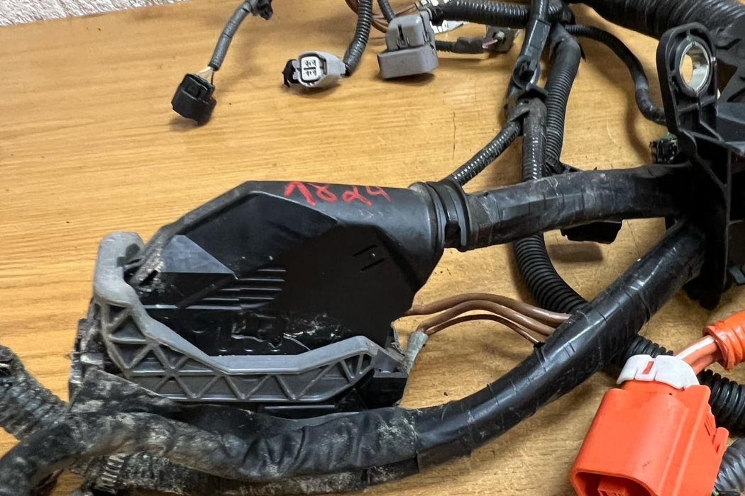 LEXUS NX 1 generation (2014-2021) Other wiring lom 456789012,38143,#1824 27348542