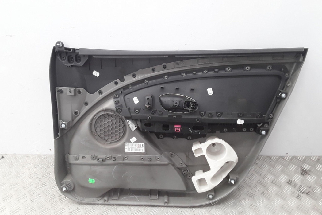 RENAULT Megane 3 generation (2008-2020) Front Left Door Panel 809010439R 29623403