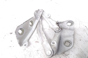 FORD Transit 4 generation (2013-2024) Петля капота передняя правая BK2116800AB 27664396