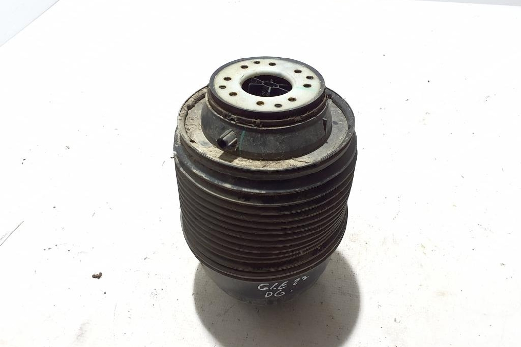 MERCEDES-BENZ GLE W167 (2019-2024) Rear Right Air Suspension Cushion A1673203901 31640070