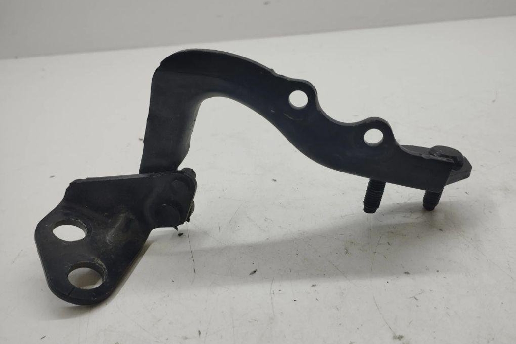 LAND ROVER Range Rover Evoque L538 (1 gen) (2011-2020) Kreisās puses bagāžnieka eņģe BJ3242901 31190812
