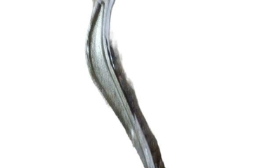 BMW 7 Series F01/F02 (2008-2015) Rear Right Arm 31753772