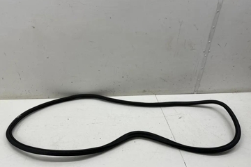 BMW 5 Series G30/G31 (2016-2023) Rear door sealing rubber (on the body) 7381326 26758509