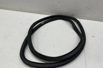 BMW 5 Series G30/G31 (2016-2023) Rear door sealing rubber (on the body) 7381326 26758510